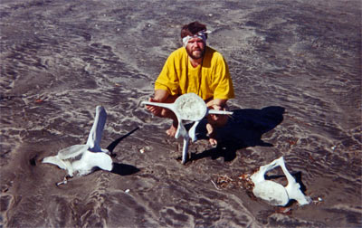 Me with whale vertebrae at Turtle Bay.