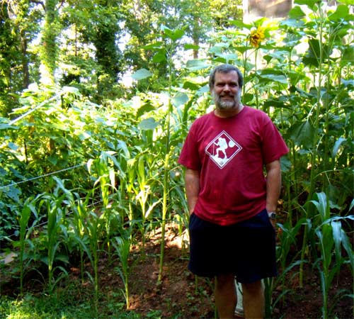 Here I stand in front of the new plot July 18. Behind me are Corn and Sunflowers. On the left, see the supports and Tomato, Bean, Cucumber, and Bell Pepper vines. The Sunflower above my head is the one in the photos above.