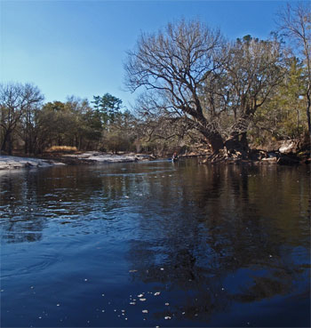 Reflection and one of our canoes in the Suwannee River.