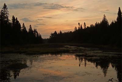 Sunrise, Minnesota, 2009