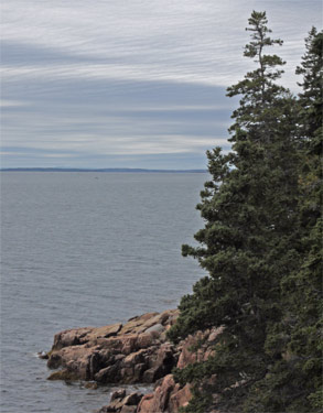 Cliff at Acadia National Park