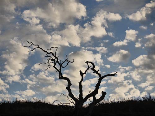 Clouds over the Dunes, Cape Cod