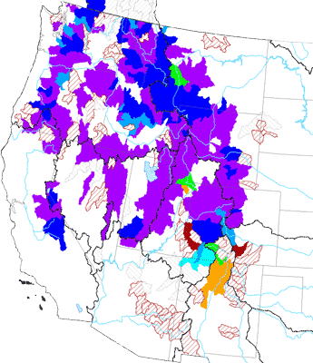 June First Mountain Snowpack