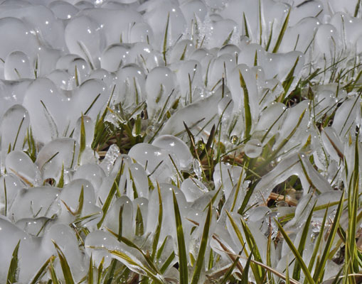 Ice, Grass