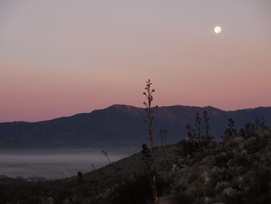 Foggy Dawn in Shelter Valley