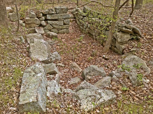 Old Cellar