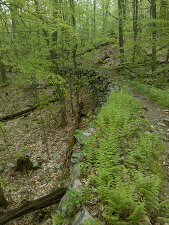 Mine Complex Narrow Guage Rail Berm