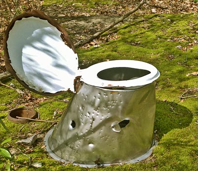 Abandoned and Abused Toilet