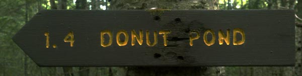 Donut Pond - A Hiker's Paradise