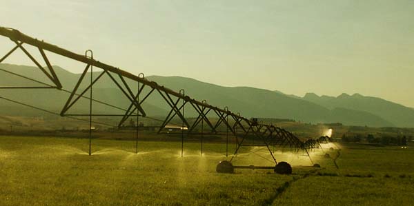 Pivot Irrigator