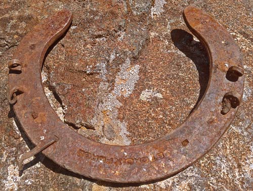 Horseshoe