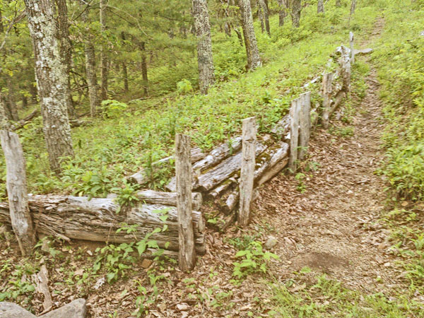 Confederate Breastworks