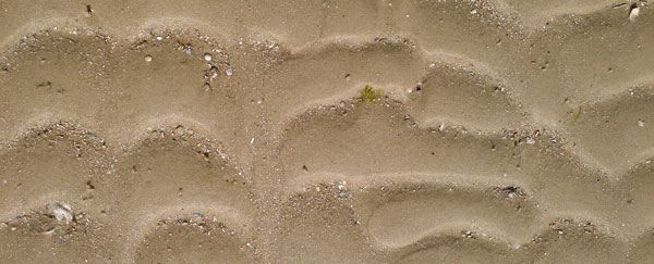 Sand Ripples