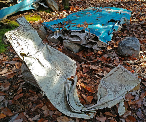 McDill Point Aircraft Wreck