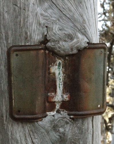 Wood Overgrowing Metal Sign