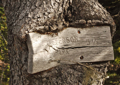 Tree and Sign Deformation