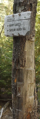 Sawn Sign Pads Killed Tree