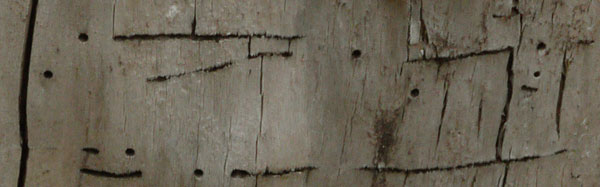 Tunnel in Wood Across Grain