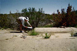 Lynn dumps our horrid Tule Stream water.