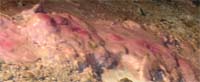 Pink Cobalt stained stalacmite, formed over the last 40 years.