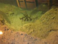A Dolly under the clear water in the mine.