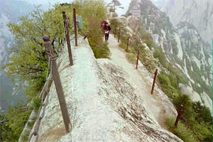 Two paths right along the ridgeline.