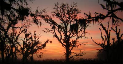 Sunrise in Boney Marsh.