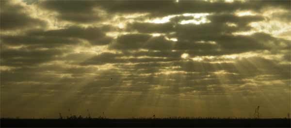 Sunrise on the L1E Levee