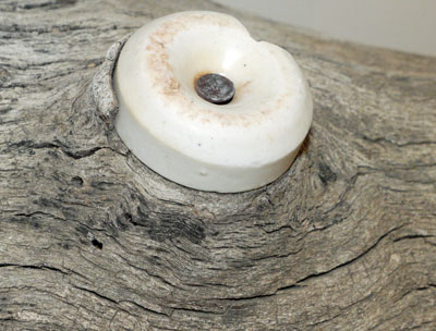 Ceramic Insulator in Oak Tree