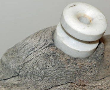 Ceramic Insulator in Oak Tree