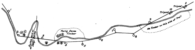 Suggestions for Selection of Tree Ties for Line Along a Trail