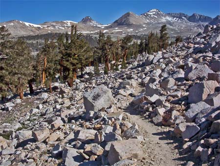 Trail Through Rock Field