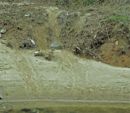 Otter Slides in Sand and Damp Clay, Rottenwood Creek, Marietta, Georgia