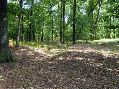 A trench and berm built by Confederacy Soldiers. Logs atop the berm the soldiers could shoot through have long since rotted away. Many places in Georgia have old Civil War constructs like these.