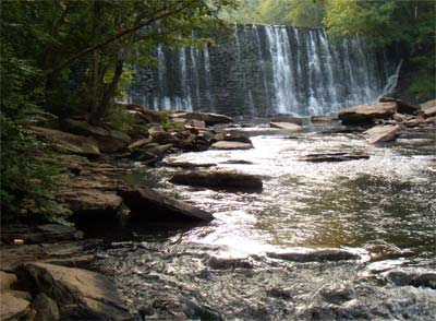 Dam on Vickery Creek was built in the 1800's to provide hydro power for the Roswell Manufacturing Company, which manufactured cloth from raw cotten from area farms.