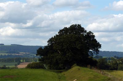 Offa's Dyke