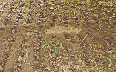 Erosion Under Bridge