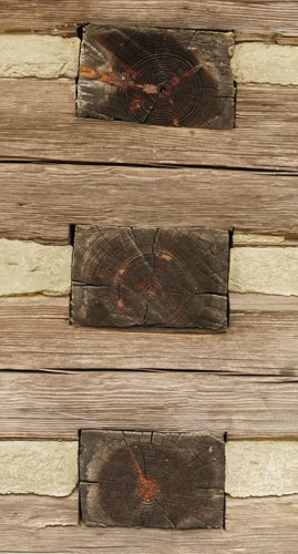 Log Wall Joint