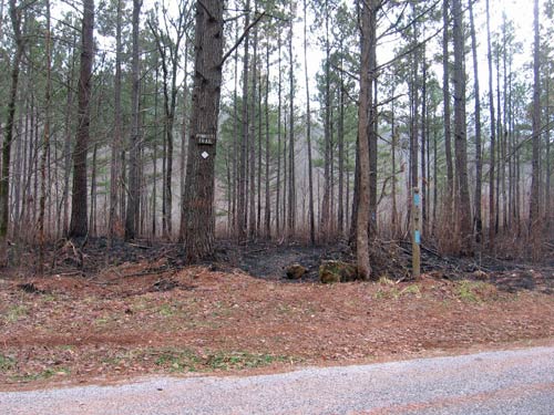 Salem Church Road Looking South