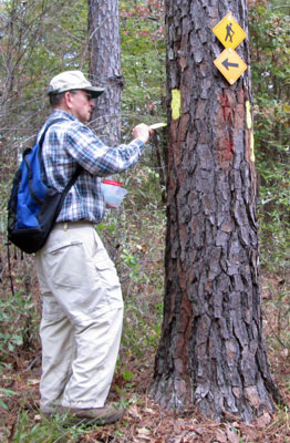 Rick painting yellow blazes in the Coosa Wildlife Management Area