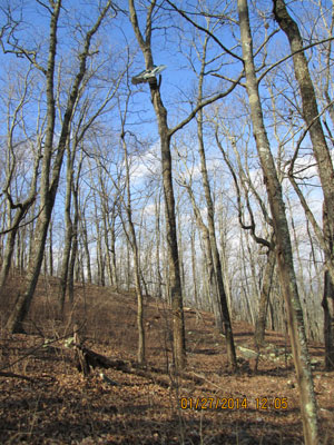 Burgess Mountain Aircraft Wreckage