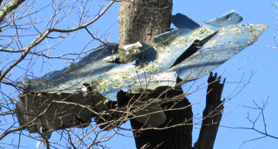 Burgess Mountain Aircraft Wreckage