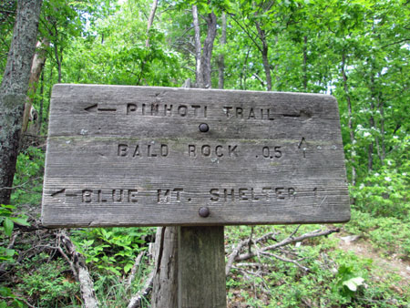 Bald Rock / Pinhoti Trail Junction