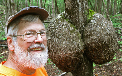 Butt Shaped Burl, John