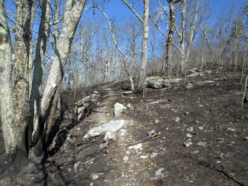 Burn North of Clairmont Gap