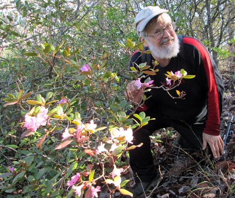 Rhododendron Minor, John