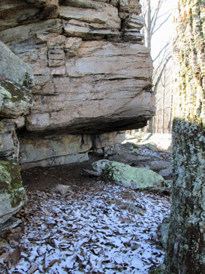 Rock Shelter