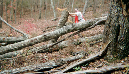 Dan Tossing Logs