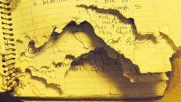 Rodent Damaged Notebook