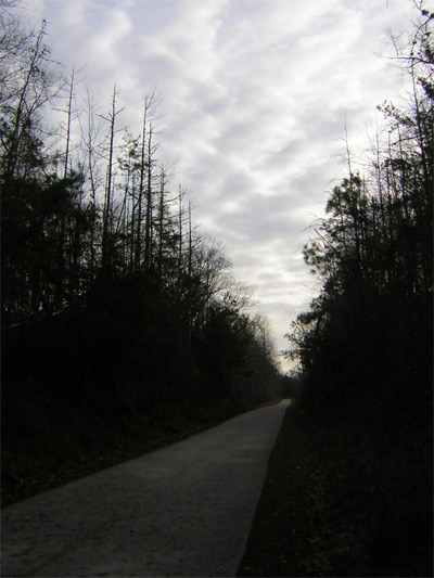 Slate sky over rail cut.